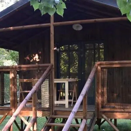 Sur Pilotis Avec Terrasse Pour 4 Personnes - Api-1-52-496 キャンプ場 *