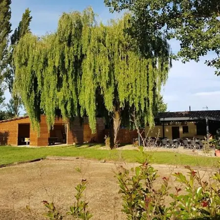 Sur Pilotis Avec Terrasse Pour 4 Personnes - Api-1-52-496 キャンプ場 *