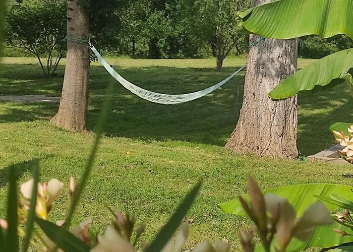 Sur Pilotis Avec Terrasse Pour 4 Personnes - Api-1-52-496 * Moncrabeau